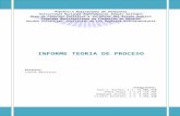Informe Teoria de Proceso (Procedimientos)