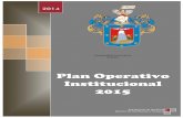Plan operativo Institucional 2015