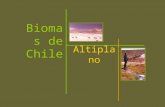 Biomas Altiplano.ppt