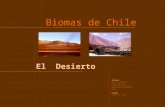 Biomas Desierto.ppt