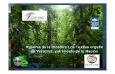 :)13. Reserva de La Biosfera de Los Tuxtlas