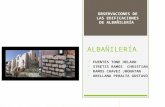 Albañilería Expo Fallas de Muros