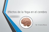 Efectos de La Yoga en El Cerebro