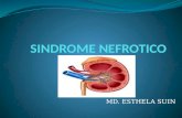 Sindrome Nefrotico en Pediatria2