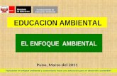 Enfoque Ambiental en El Sistema Educativo - Carabaya