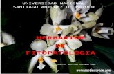 herbarium-unasam 2.docx