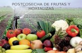POStCOSECHA DE FRUTAS Y HORTALIZAS.pptx