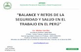 Balances y Retos de La Segurridad y Salud en El Trabajo en El Peru