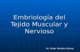 Embriología del Tejido Muscular y Nervioso2.ppt