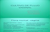 30 Cultivo de Flujo Vaginal