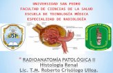 Histologia Renal.ppt