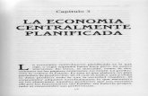Economía Centralmente Planificada (2)