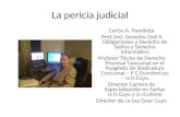138 La Pericia Judicial Modulo1 Proceso