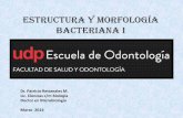Estructura y Morfología Bacteriana I