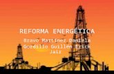 Reforma Energ©tica