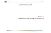 Prototipo Tomo (Entes Publicos) Informe de Cuenta Publica 2014