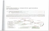 Generalidades célular procariótica y eucariótica.pdf