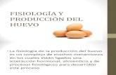 Fisiología y Producción Del Huevo