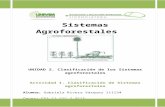 Andamio sistemas agroforestales
