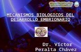 Clase i Mecanismos Biológicos Del Desarrollo Embrionario
