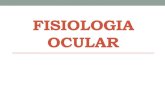 Fisiologia Ocular