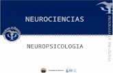 2EVOLUCION DE LA NEUROPSICOLOGIA (2).pptx