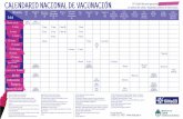 calendario vacunacion 2015