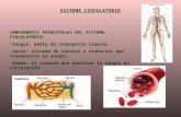 Presentación Circulatorio CNBA