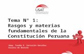 01. Rasgos y Materias Fundamentales de La Constitución Peruana