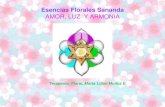 DETALLES_Esencias_Sananda25, esencias florales