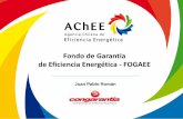 FOGAEE Como Instrumento de Financiamiento de EE a Las PYMES. Juan Pablo Román