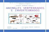 VERTEBRADOS E INVERTEBRADOS.doc