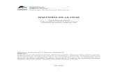 ANATOMÍA DE LA HOJA.pdf