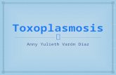 3. Toxoplasmosis