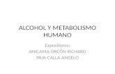 Alcohol y Metabolismo en el hombre