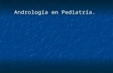 Andrologia en Pediatria