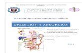 Digestion y Absorcion
