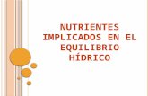 Nutrientes Implicados en El Equilibrio Hídrico
