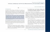 454_Cómo obtener la Firma Electrónica Avanzada (FIEL).pdf