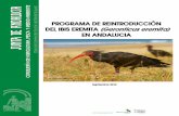Memoria del Programa Reintroducción del Ibis Eremita en Andalucia