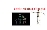 antropologia forensea