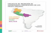 Encuesta de Medici³n de Capacidades Financieras Informe Comparativo 2014