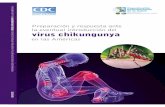 Preparacion y Respuesta Chikungunya Cap III - IV y V