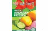 Curso de Agricultura Protegida (Tomate)