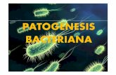 Patogenesis bacteriana