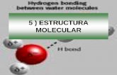 Clase 5: Estructura Molecular