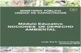 MODULO Educativo DER. AMBIENTAL 02-09-09 Proteccion Penal Del Medio Ambiente