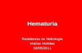 Hematuria 2012