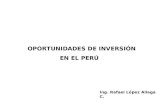 Oportunidades de Inversion en El Peru