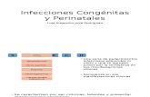Infecciones Congénitas y Perinatales